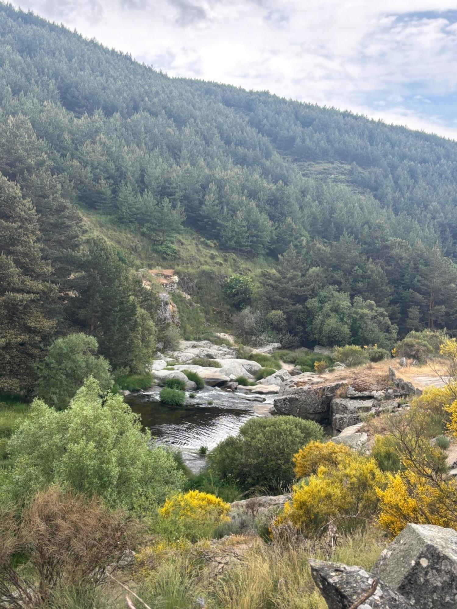 Villa De Gredos نافاريدوندا دي غريدوس المظهر الخارجي الصورة